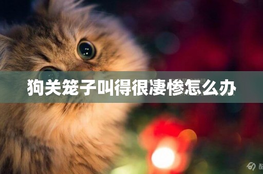 狗關籠子叫得很凄慘怎么辦