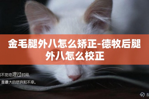 金毛腿外八怎么矯正-德牧后腿外八怎么校正