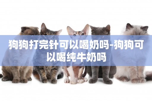 狗狗打完針可以喝奶嗎-狗狗可以喝純牛奶嗎