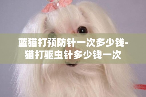 藍貓打預防針一次多少錢-貓打驅蟲針多少錢一次