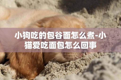 小狗吃的包谷面怎么煮-小貓愛吃面包怎么回事