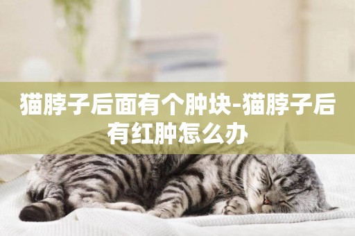 貓脖子后面有個腫塊-貓脖子后有紅腫怎么辦