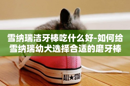 雪納瑞潔牙棒吃什么好-如何給雪納瑞幼犬選擇合適的磨牙棒