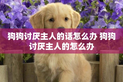 狗狗討厭主人的話怎么辦 狗狗討厭主人的怎么辦