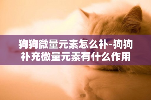 狗狗微量元素怎么補-狗狗補充微量元素有什么作用