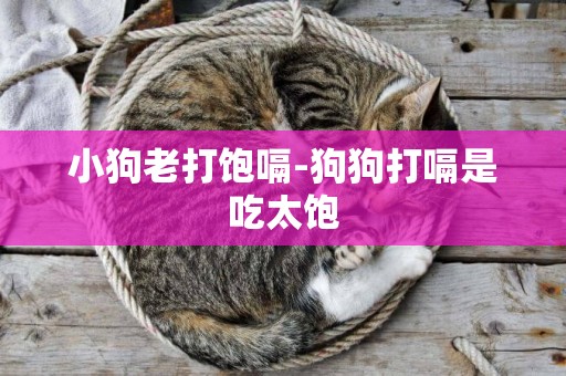 小狗老打飽嗝-狗狗打嗝是吃太飽