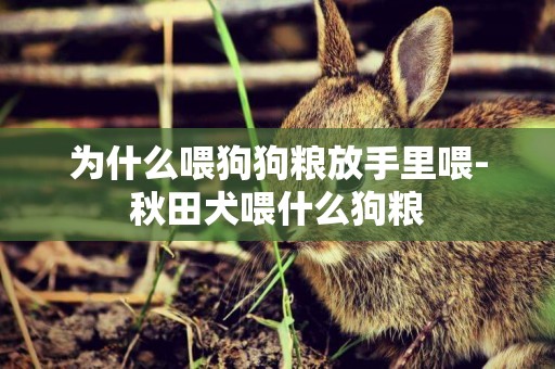 為什么喂狗狗糧放手里喂-秋田犬喂什么狗糧
