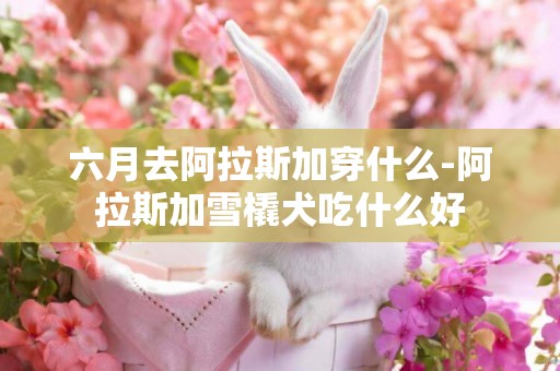 六月去阿拉斯加穿什么-阿拉斯加雪橇犬吃什么好