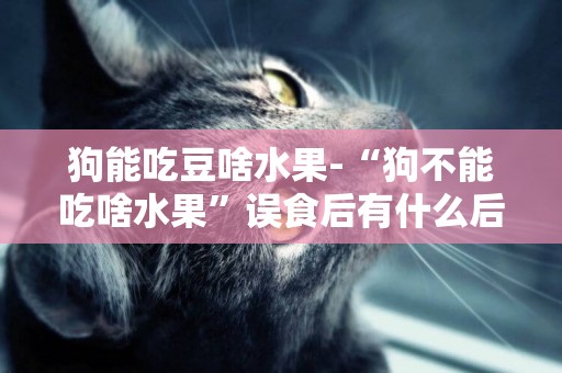 狗能吃豆啥水果-“狗不能吃啥水果”誤食后有什么后果