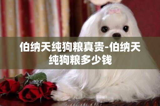 伯納天純狗糧真貴-伯納天純狗糧多少錢
