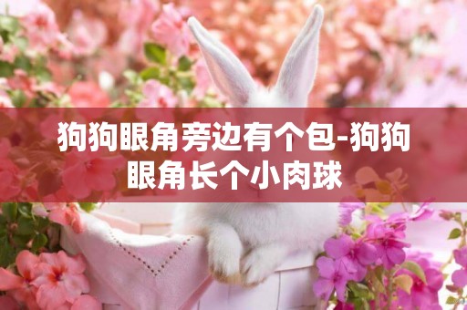 狗狗眼角旁邊有個包-狗狗眼角長個小肉球