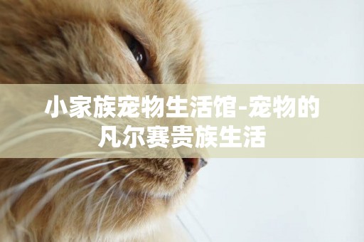 小家族寵物生活館-寵物的凡爾賽貴族生活