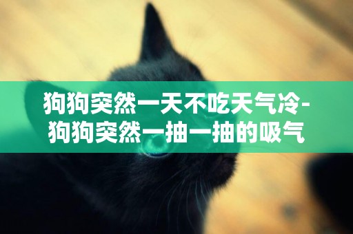 狗狗突然一天不吃天氣冷-狗狗突然一抽一抽的吸氣