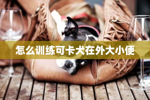 怎么訓練可卡犬在外大小便