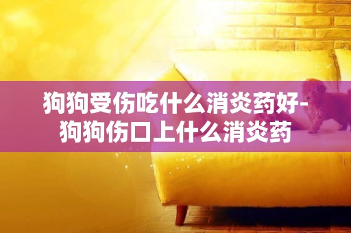 狗狗受傷吃什么消炎藥好-狗狗傷口上什么消炎藥