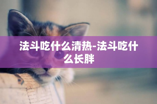 法斗吃什么清熱-法斗吃什么長胖
