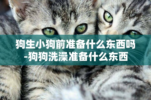 狗生小狗前準備什么東西嗎-狗狗洗澡準備什么東西