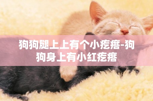 狗狗腿上上有個小疙瘩-狗狗身上有小紅疙瘩