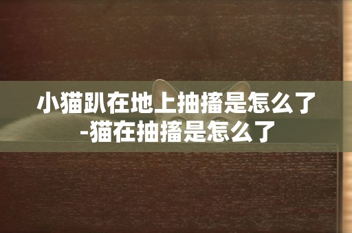 小貓趴在地上抽搐是怎么了-貓在抽搐是怎么了