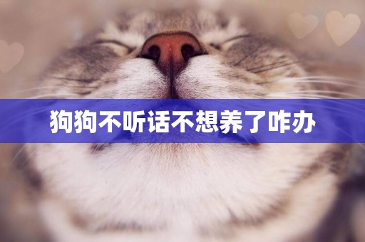 狗狗不聽話不想養了咋辦