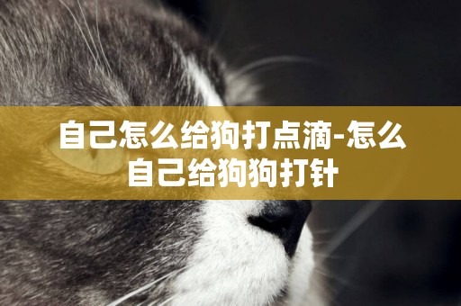 自己怎么給狗打點滴-怎么自己給狗狗打針