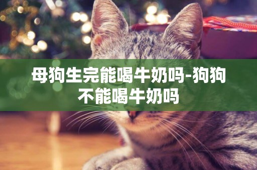 母狗生完能喝牛奶嗎-狗狗不能喝牛奶嗎
