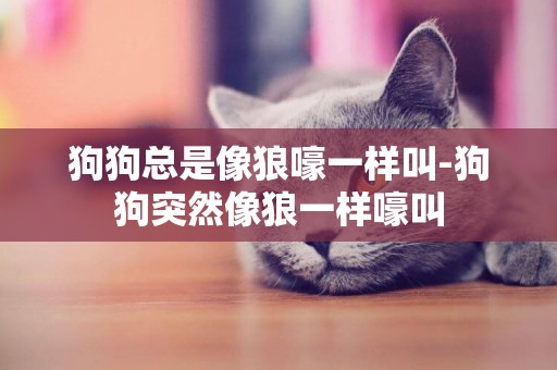 狗狗總是像狼嚎一樣叫-狗狗突然像狼一樣嚎叫