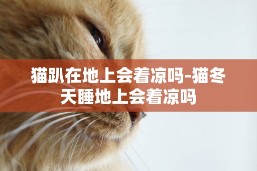貓趴在地上會著涼嗎-貓冬天睡地上會著涼嗎