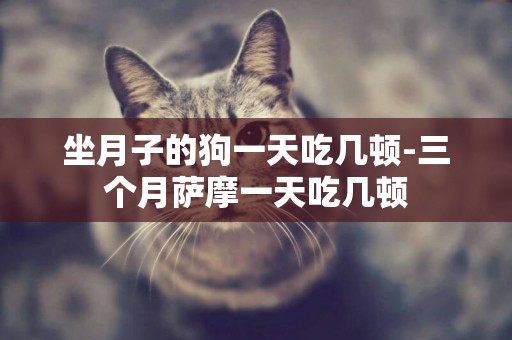 坐月子的狗一天吃幾頓-三個月薩摩一天吃幾頓