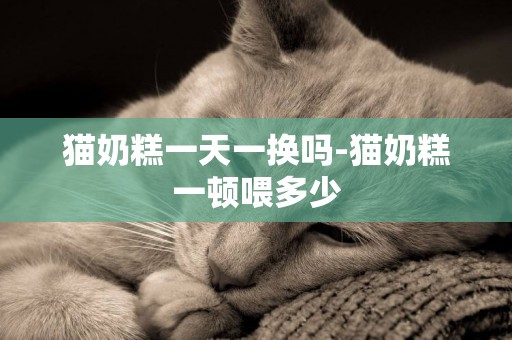 貓奶糕一天一換嗎-貓奶糕一頓喂多少