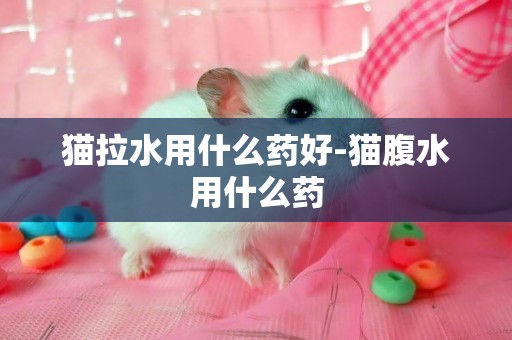 貓拉水用什么藥好-貓腹水用什么藥
