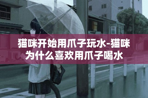 貓咪開始用爪子玩水-貓咪為什么喜歡用爪子喝水