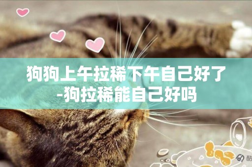 狗狗上午拉稀下午自己好了-狗拉稀能自己好嗎