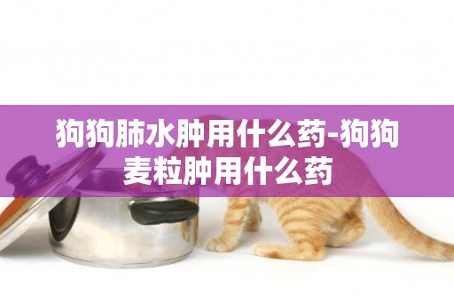 狗狗肺水腫用什么藥-狗狗麥粒腫用什么藥