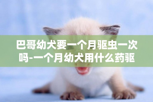 巴哥幼犬要一個月驅蟲一次嗎-一個月幼犬用什么藥驅蟲