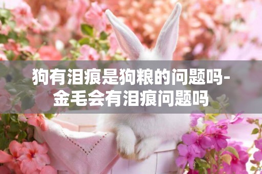 狗有淚痕是狗糧的問題嗎-金毛會有淚痕問題嗎