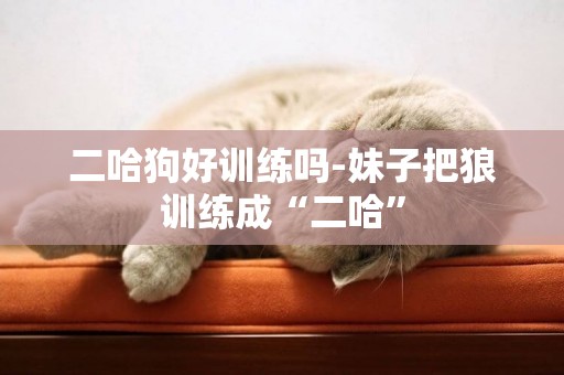 二哈狗好訓練嗎-妹子把狼訓練成“二哈”