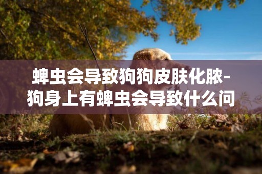 蜱蟲會導致狗狗皮膚化膿-狗身上有蜱蟲會導致什么問題