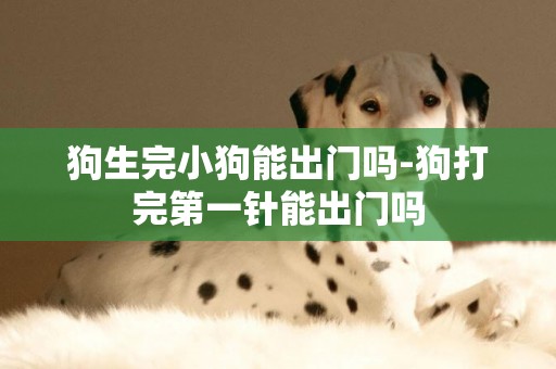 狗生完小狗能出門嗎-狗打完第一針能出門嗎