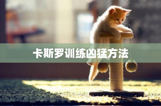 卡斯羅訓練兇猛方法