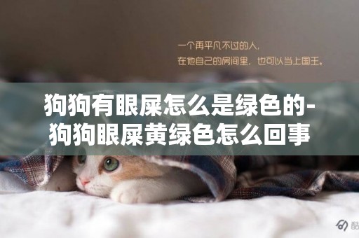 狗狗有眼屎怎么是綠色的-狗狗眼屎黃綠色怎么回事