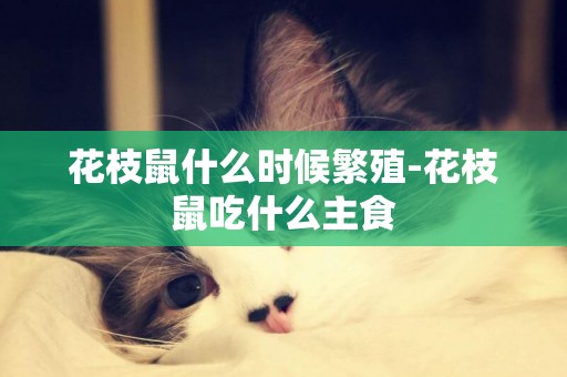 花枝鼠什么時候繁殖-花枝鼠吃什么主食