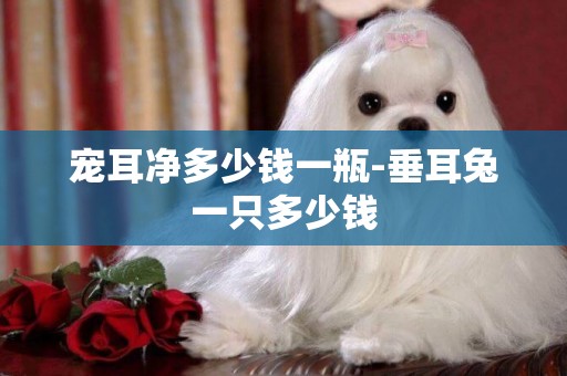 寵耳凈多少錢一瓶-垂耳兔一只多少錢