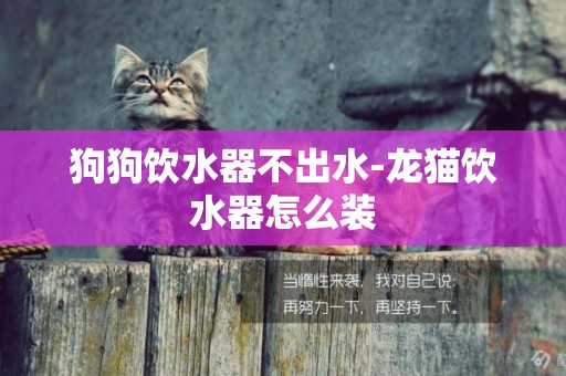 狗狗飲水器不出水-龍貓飲水器怎么裝