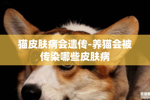 貓皮膚病會遺傳-養貓會被傳染哪些皮膚病