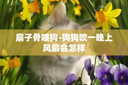 扇子骨喂狗-狗狗吹一晚上風扇會怎樣