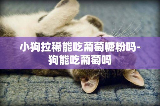 小狗拉稀能吃葡萄糖粉嗎-狗能吃葡萄嗎