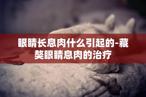 眼睛長息肉什么引起的-藏獒眼睛息肉的治療