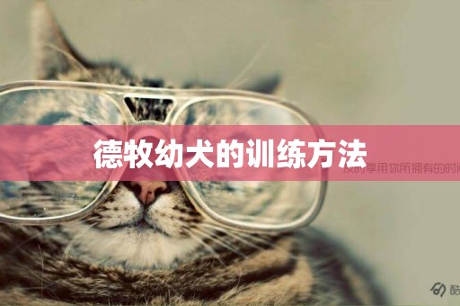 德牧幼犬的訓練方法