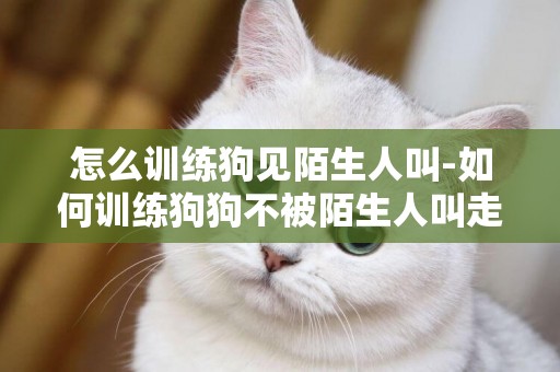 怎么訓練狗見陌生人叫-如何訓練狗狗不被陌生人叫走